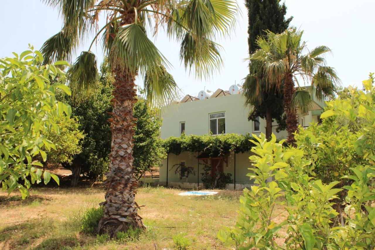 Patara Caretta Hotel Экстерьер фото